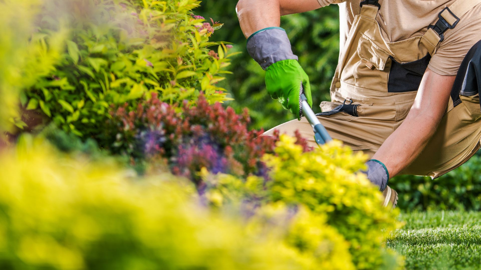 Xander Landscaping | Expert Landscaping Services | Aurora