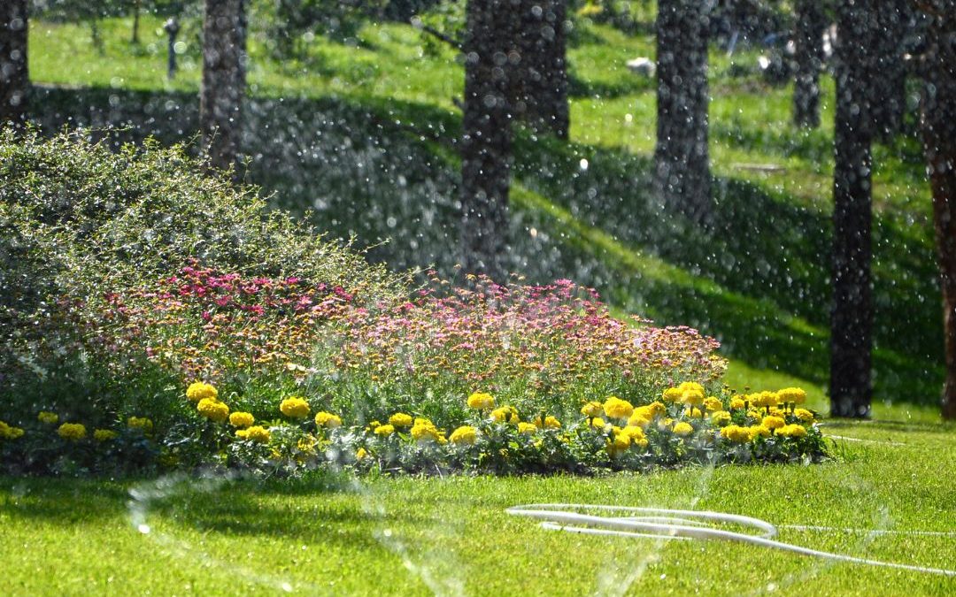 Recommended Irrigation Times For Watering