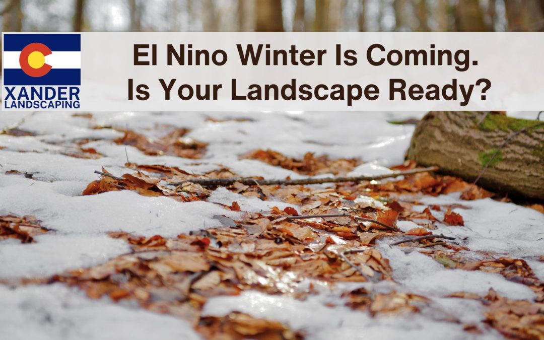 El Nino Winter Is Coming. Is Your Landscape Ready?