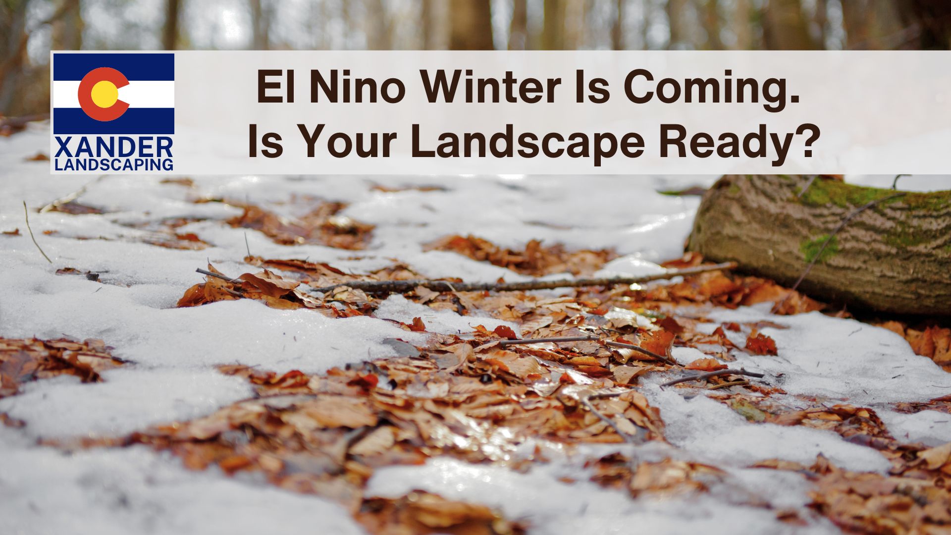El Nino Winter Is Coming. Is Your Landscape Ready? - Xander Landscaping - Denver Colorado winter landscape services
