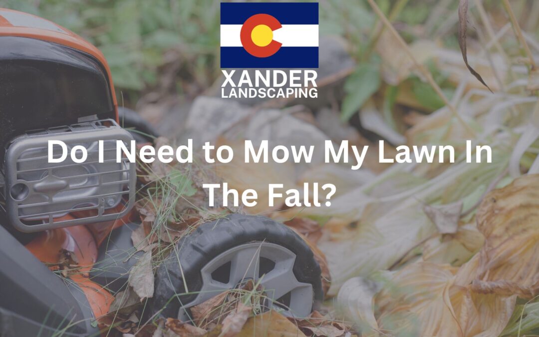 Do I Need to Mow My Lawn In The Fall?
