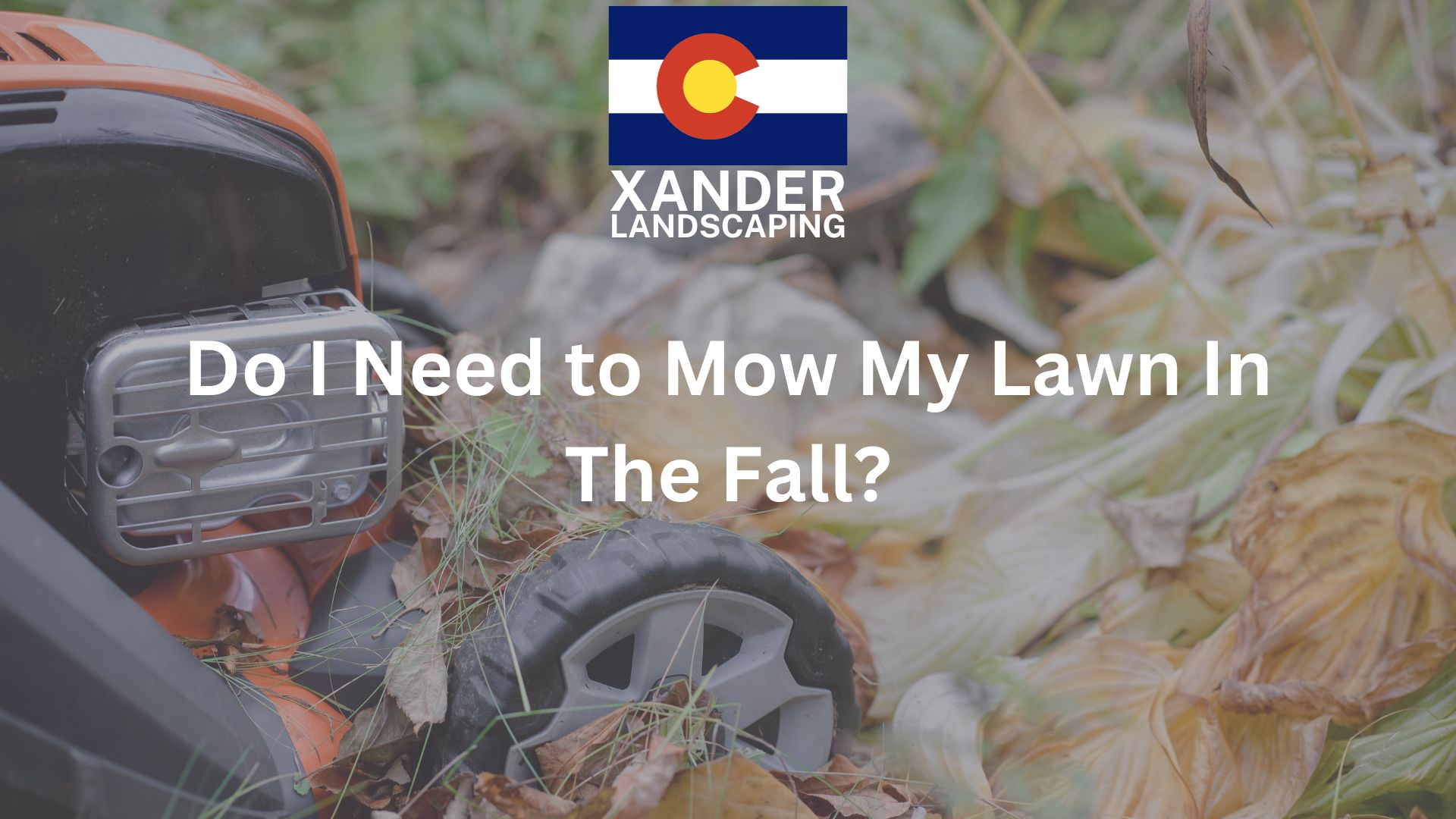 Xander Landscaping - Do I Need to Mow My Lawn in the Fall? Denver Parker Landscaping services landscape company